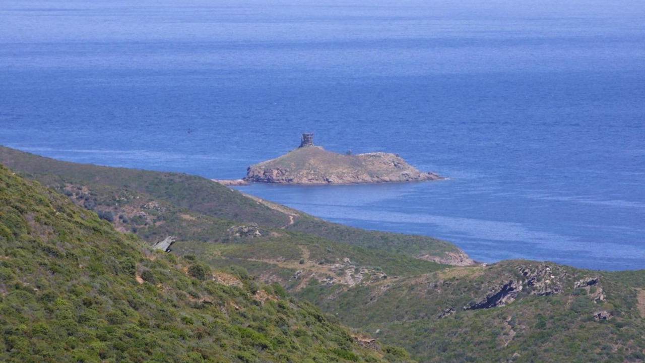 Photo of Others in Rogliano