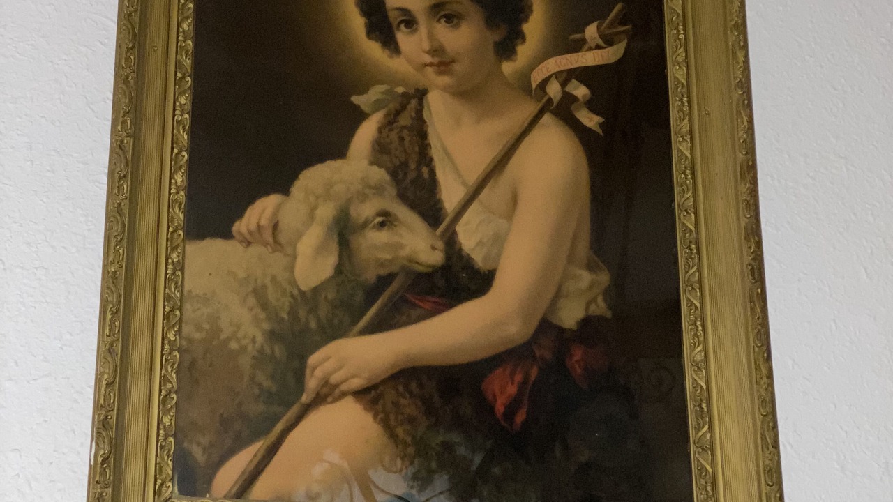 Photo of Others in Rogliano