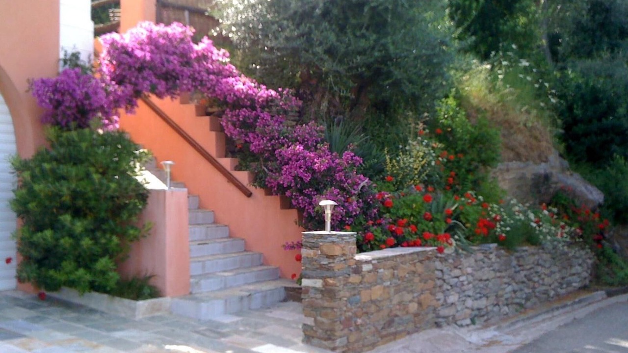 Photo of Outdoor in Rogliano