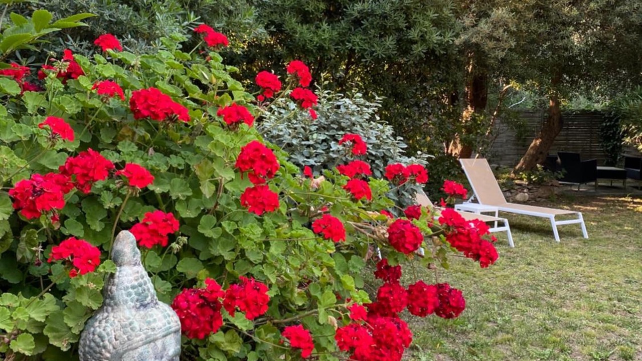 Photo of Outdoor in Rogliano