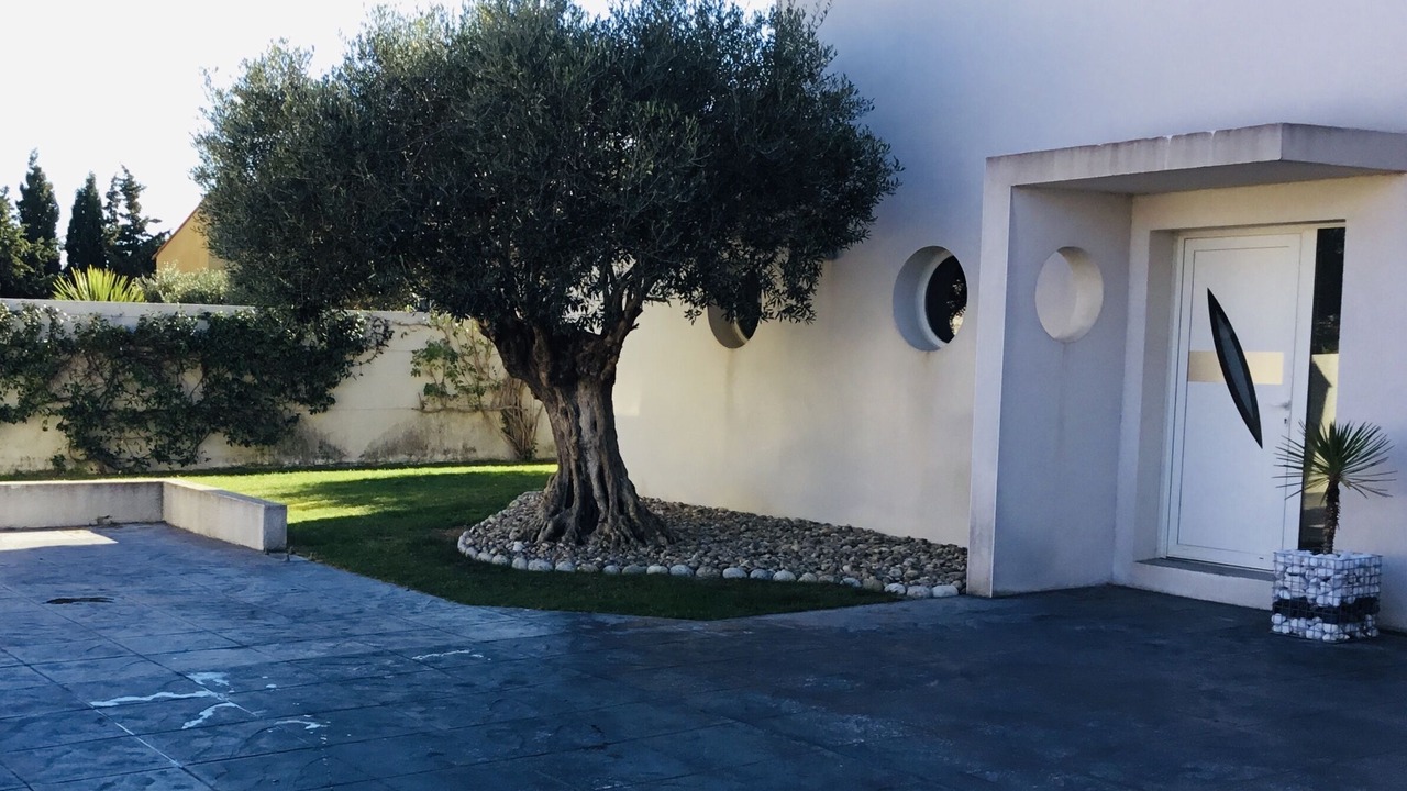 Photo of Outdoor in Pia