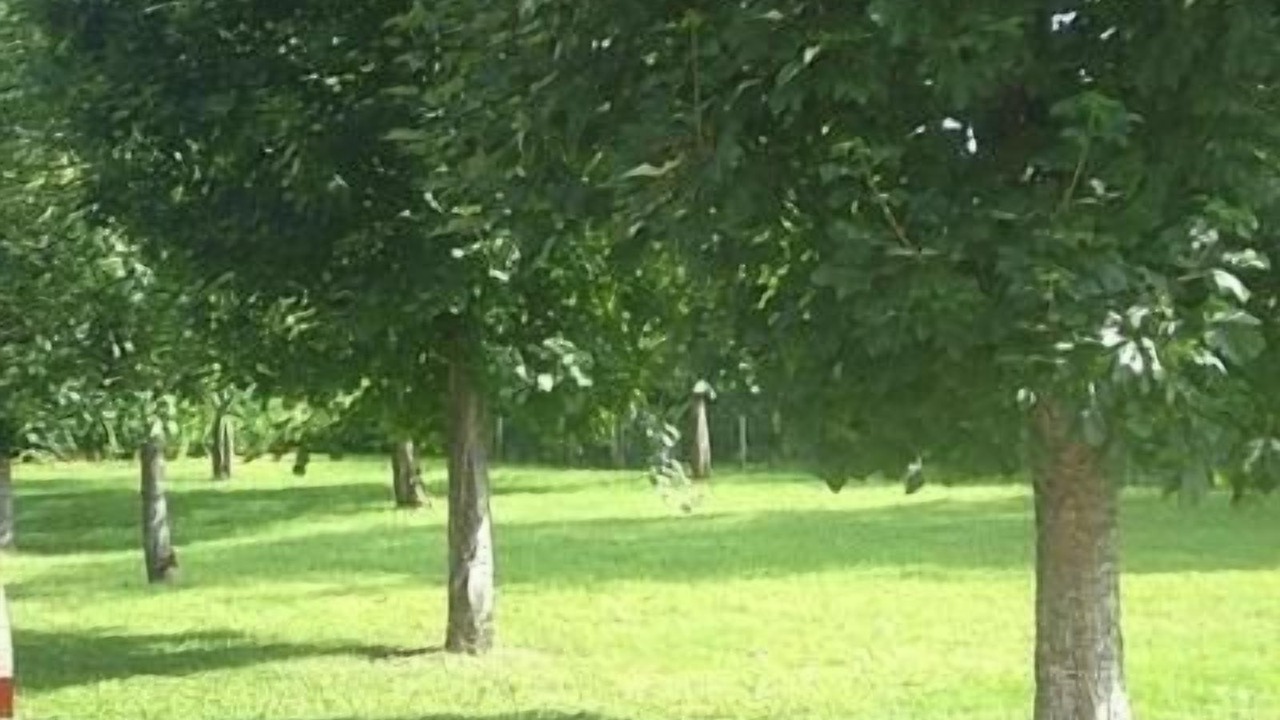 Photo of Outdoor in Arcy-sur-Cure