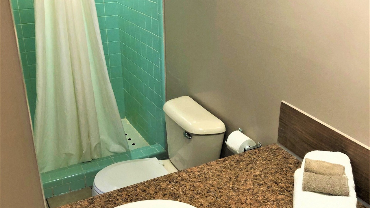 Photo of Bathroom in South Lyon