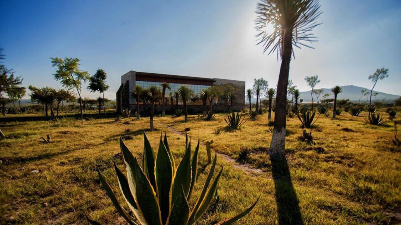 Photo of Outdoor in Pozos