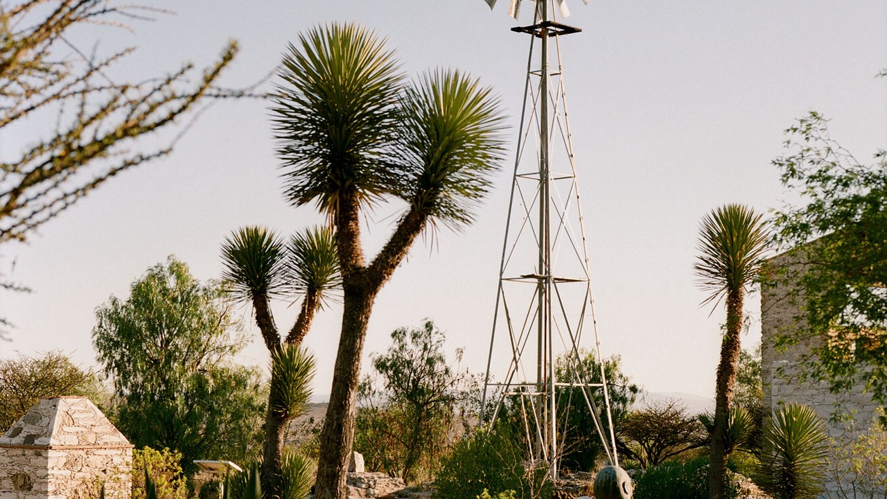 Photo of Outdoor in Pozos