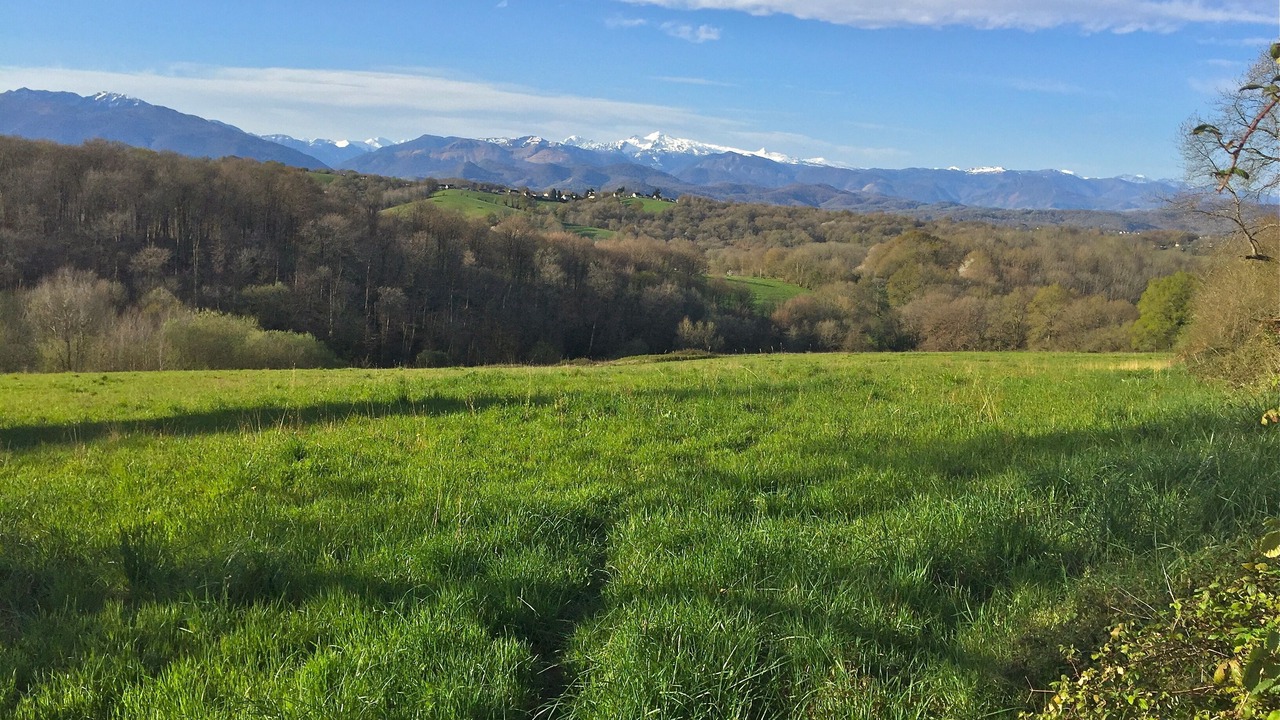 Photo of Outdoor in Ledeuix