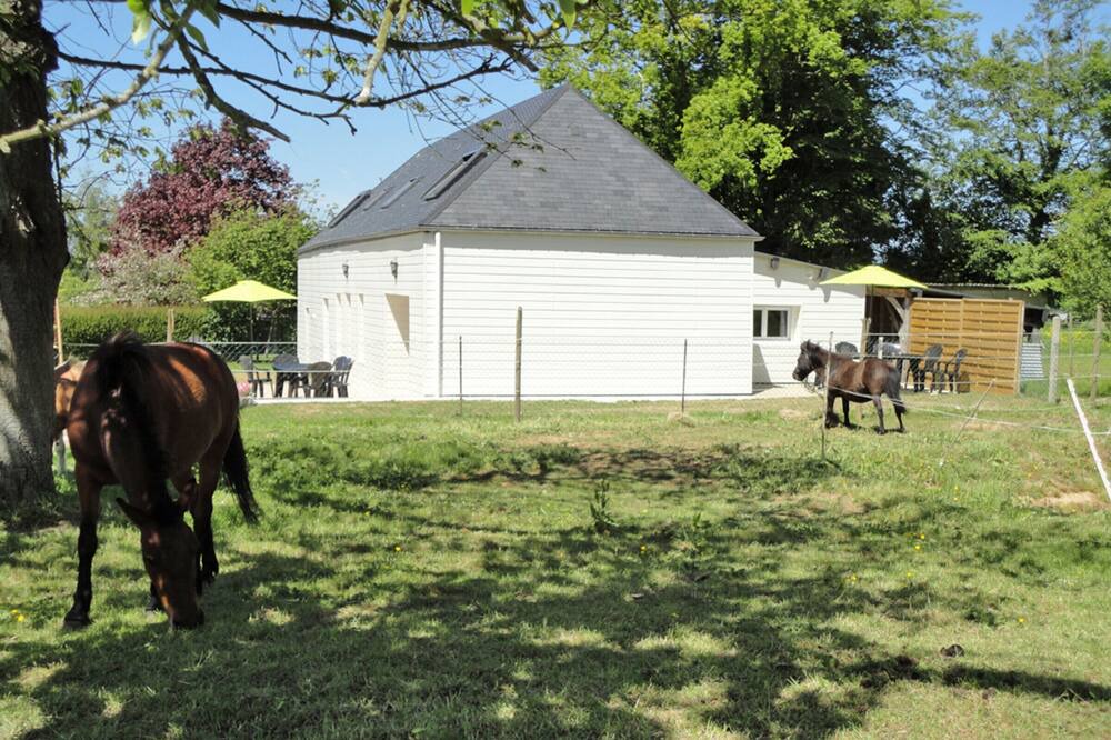 Photo of Outdoor in Vattetot-sur-Mer