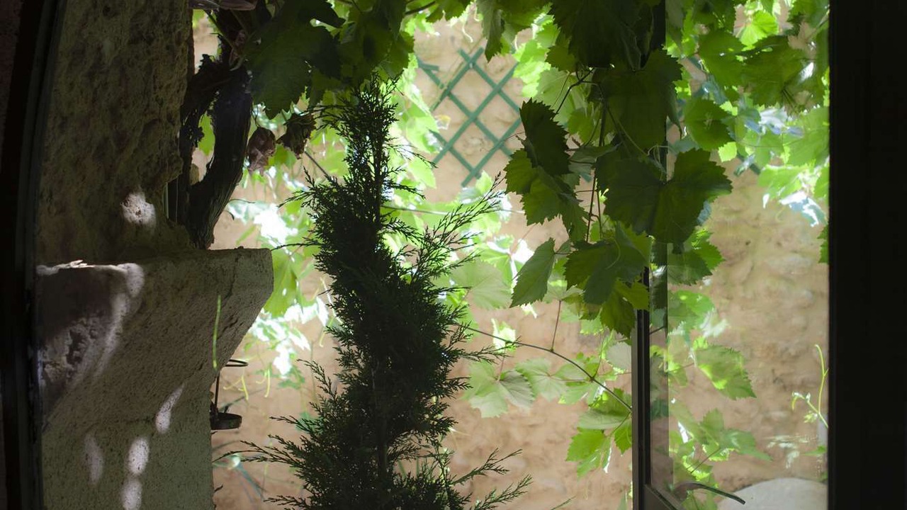 Photo of Others in Murviel-les-Beziers