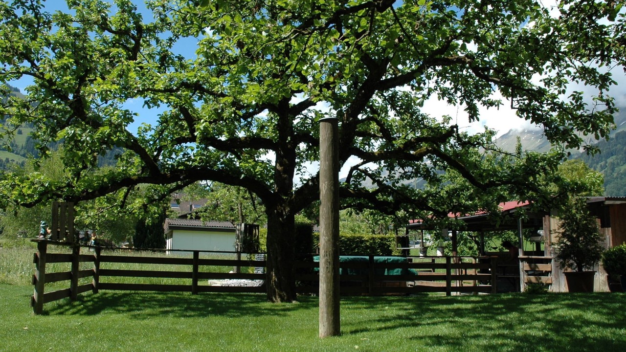 Photo of Outdoor in Frutigen