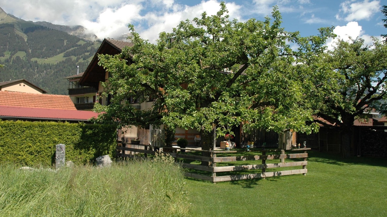 Photo of Outdoor in Frutigen