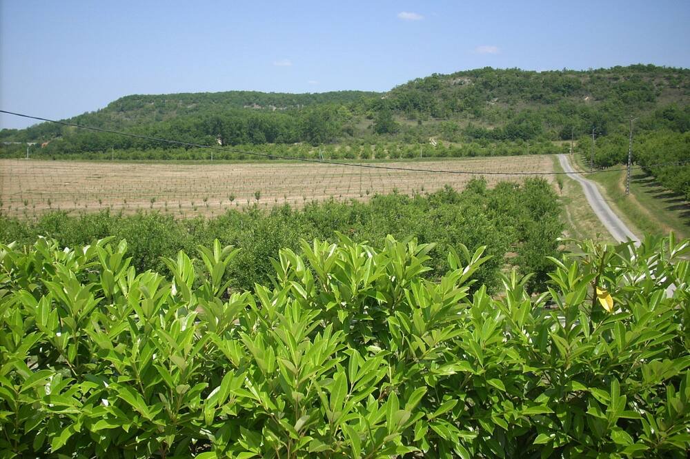 Photo of Outdoor in Anthe