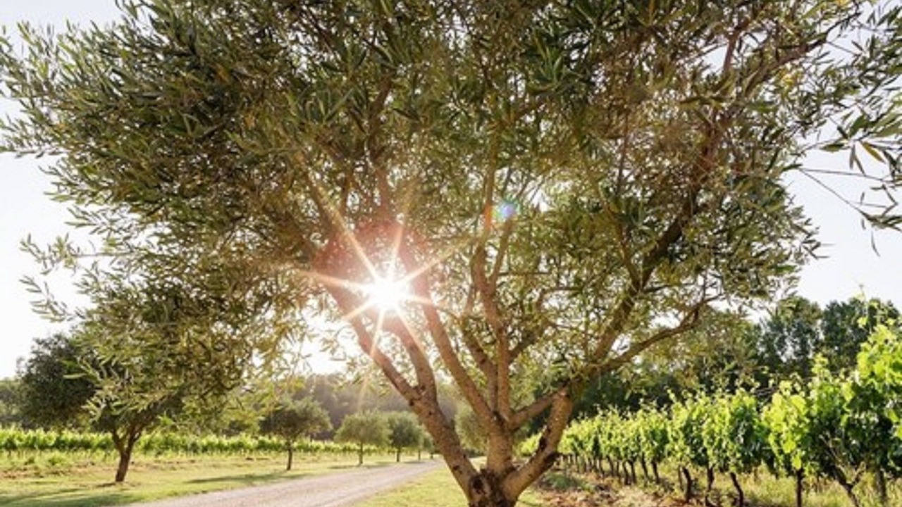 Photo of Outdoor in Entrecasteaux