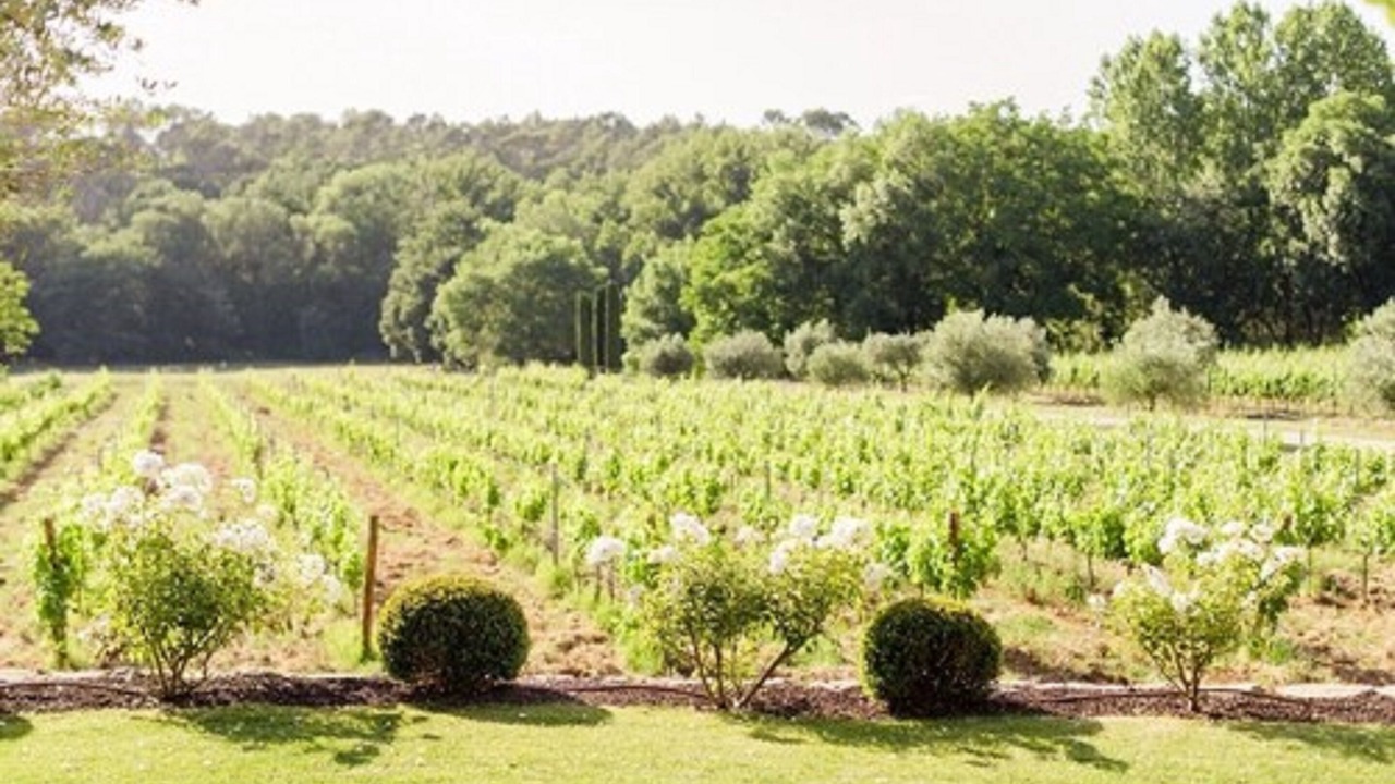 Photo of Outdoor in Entrecasteaux