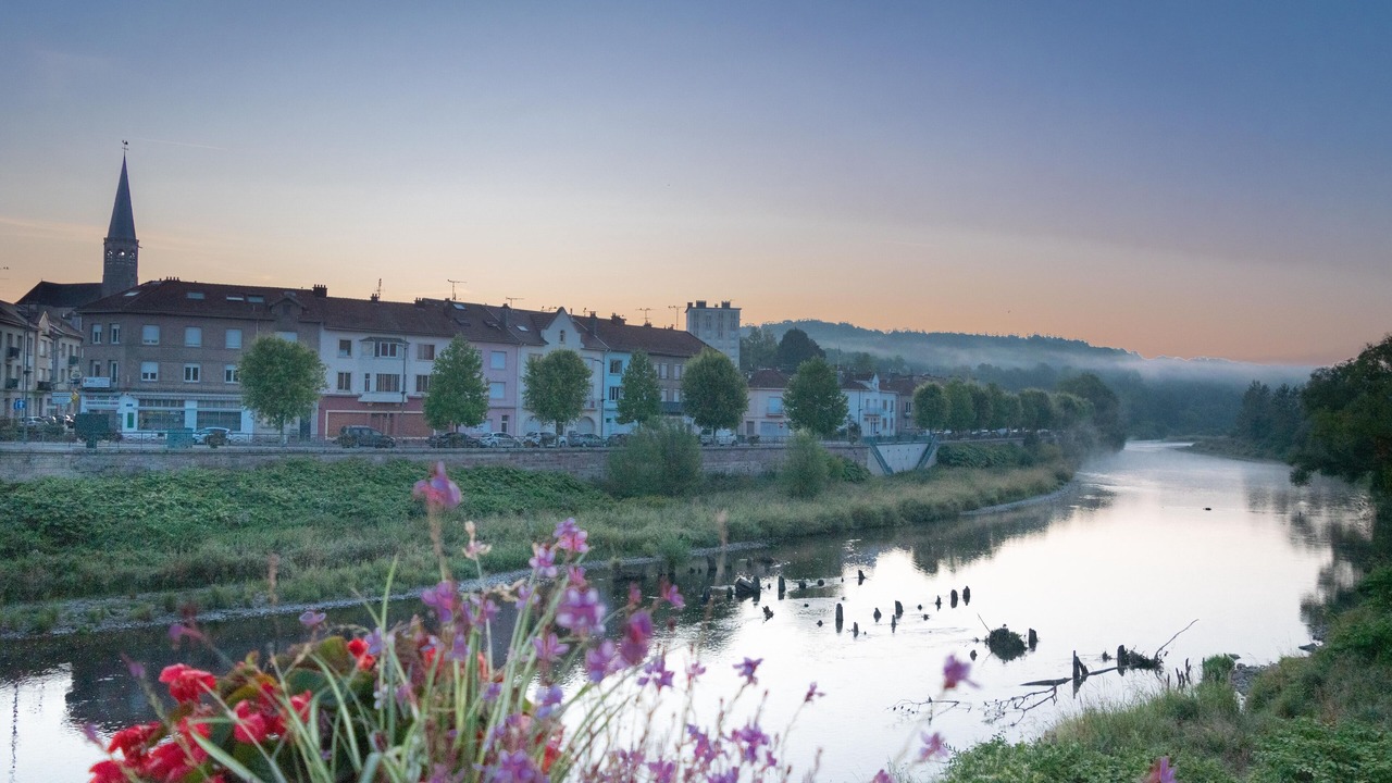 Photo of Bedroom in Chatel-sur-Moselle