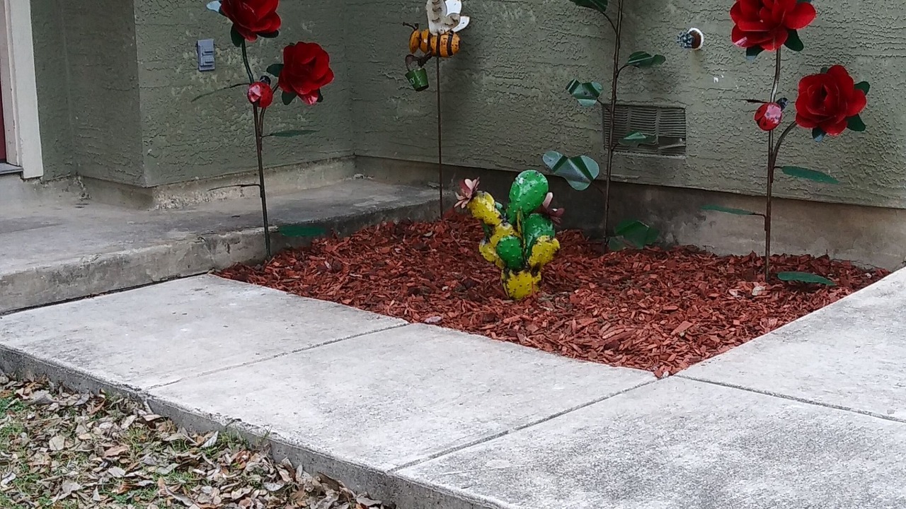 Photo of Outdoor in San Antonio