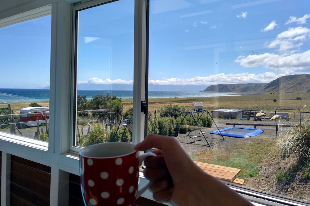 Photo of Others in Cape Palliser