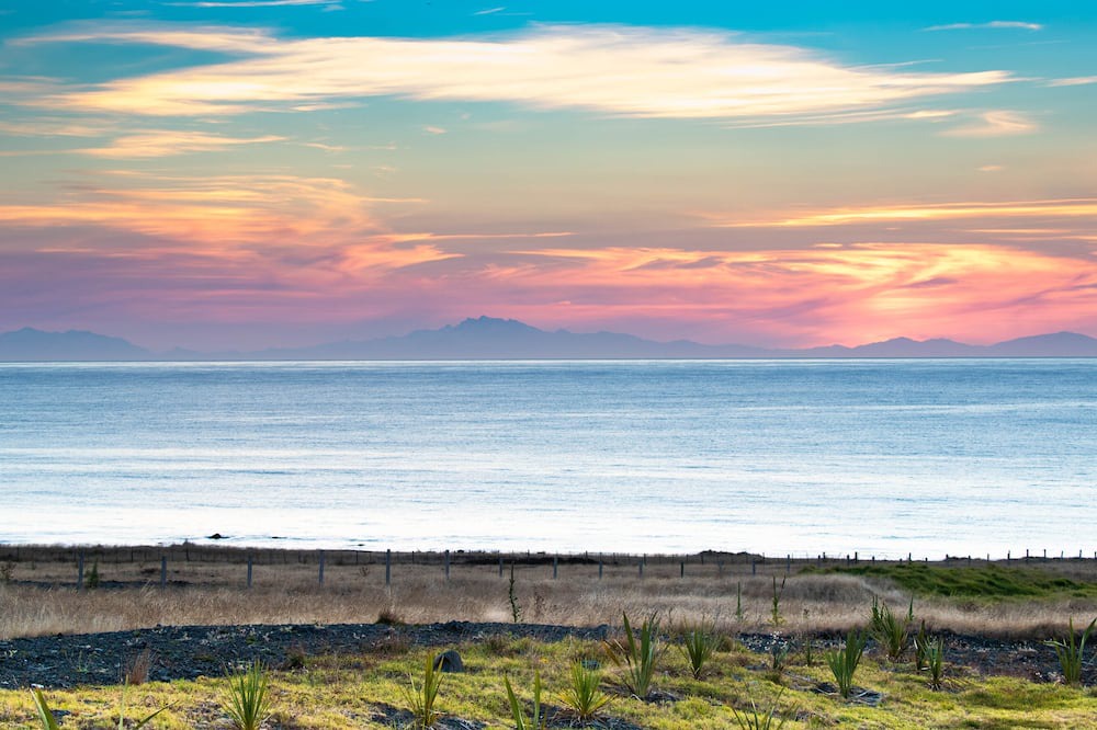 Photo of Others in Cape Palliser