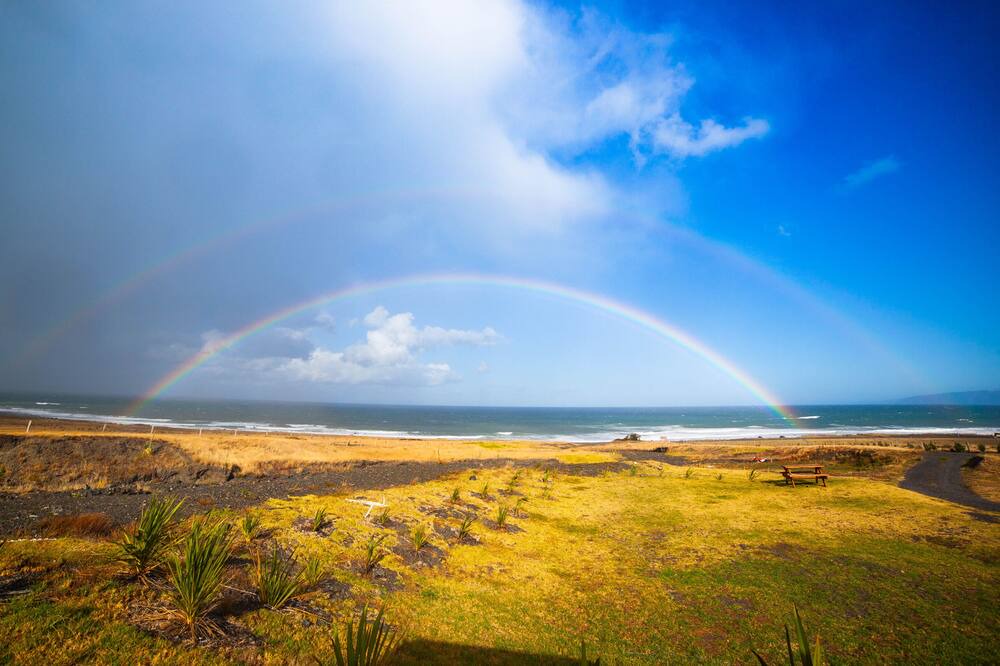 Photo of Others in Cape Palliser