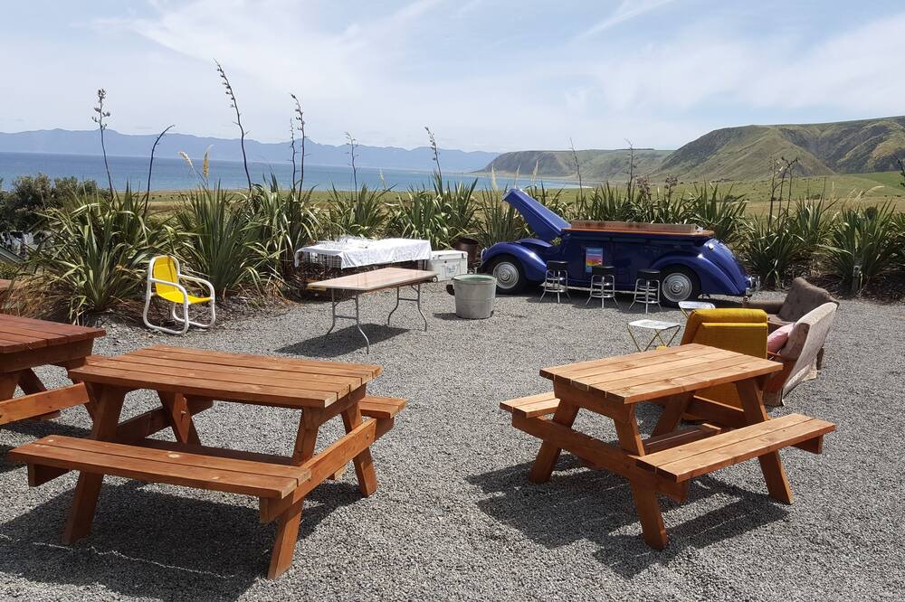 Photo of Outdoor in Cape Palliser