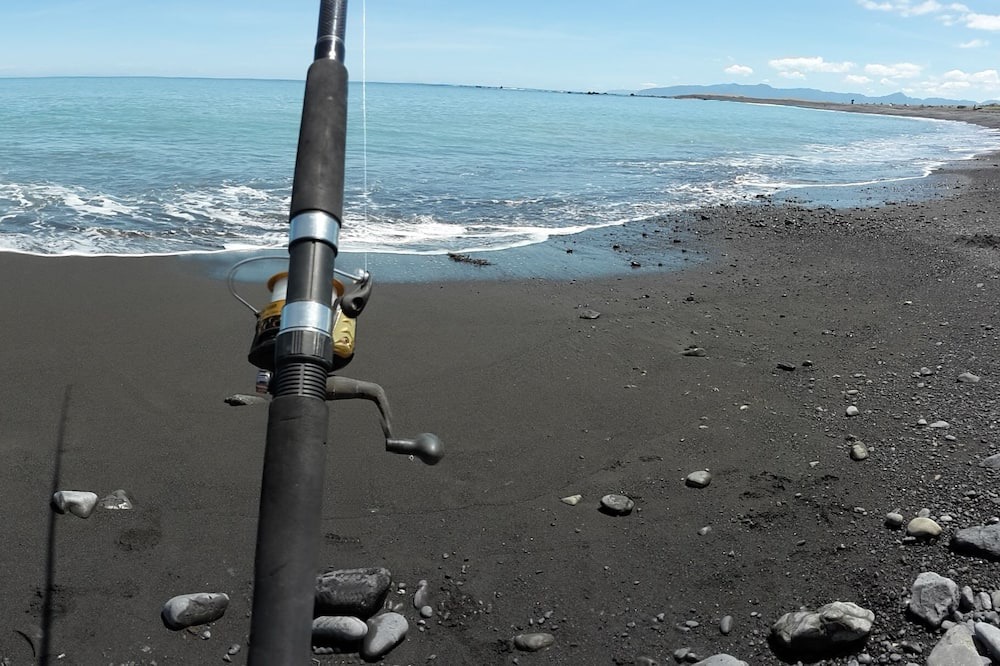 Photo of Others in Cape Palliser