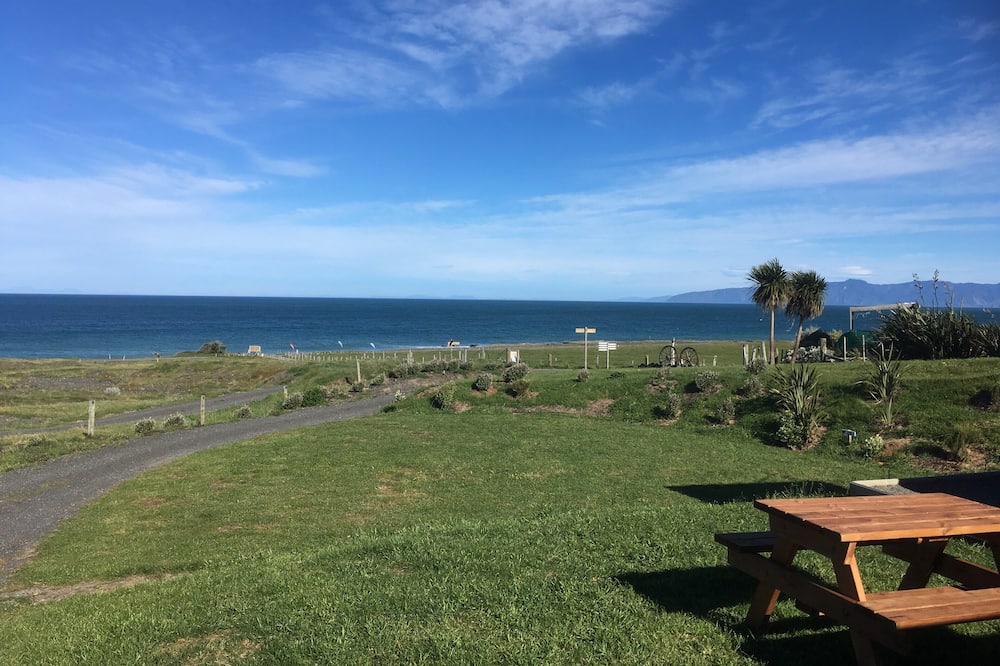 Photo of Others in Cape Palliser