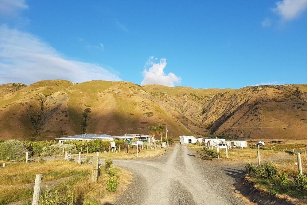 Photo of Outdoor in Cape Palliser
