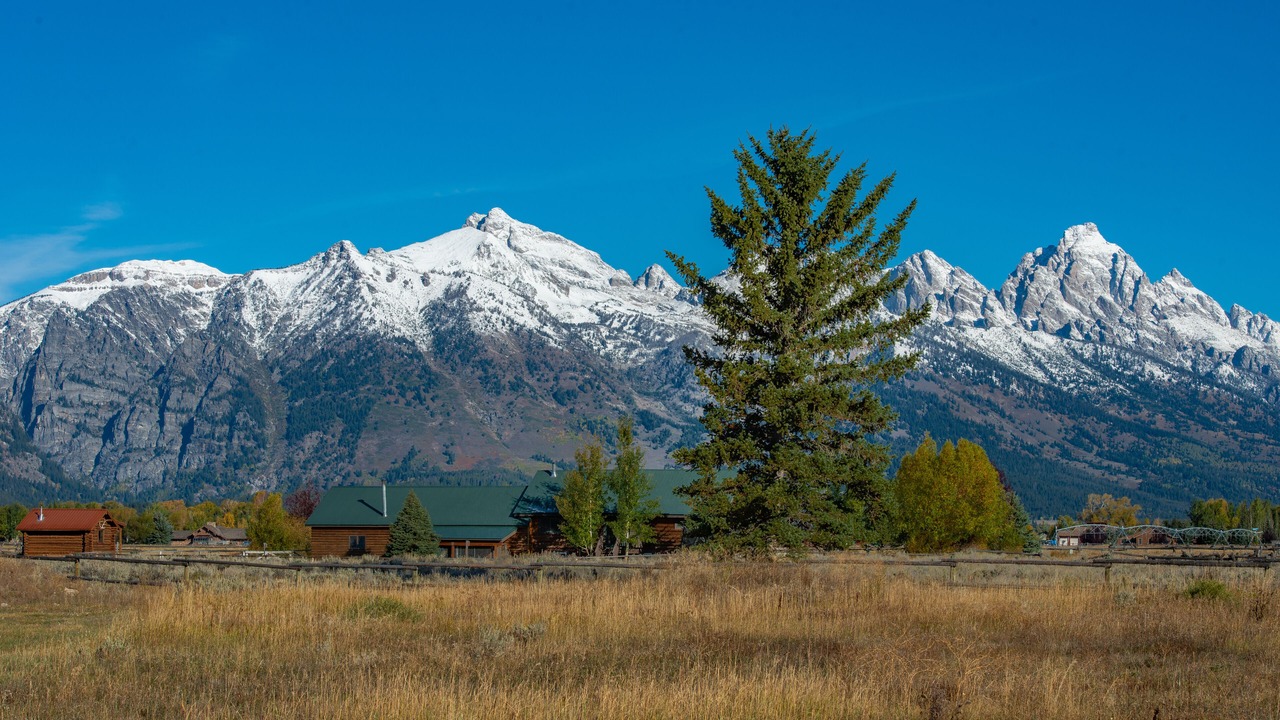 Photo of Outdoor in Jackson