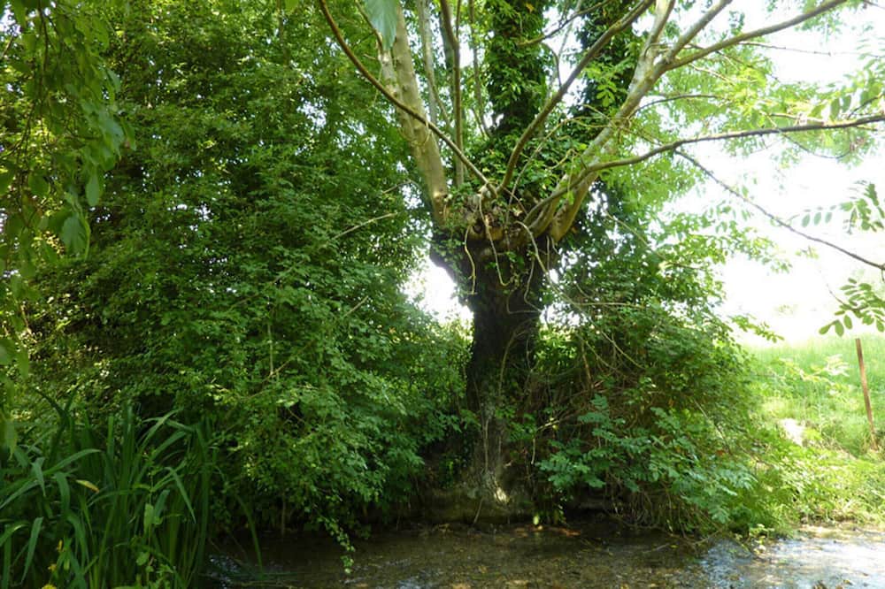 Photo of Outdoor in Bully