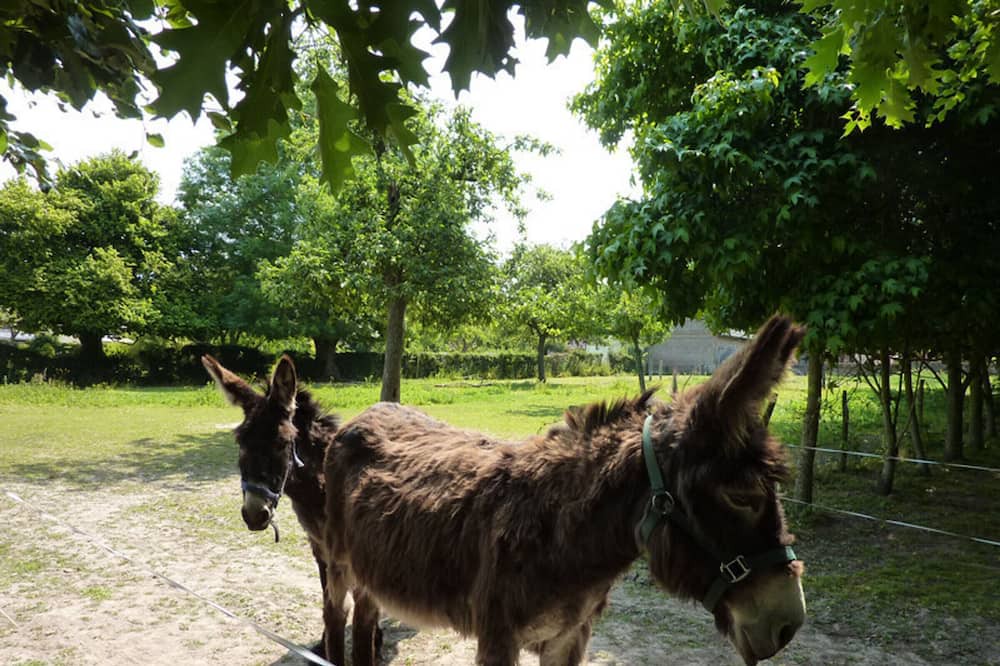 Photo of Others in Bully