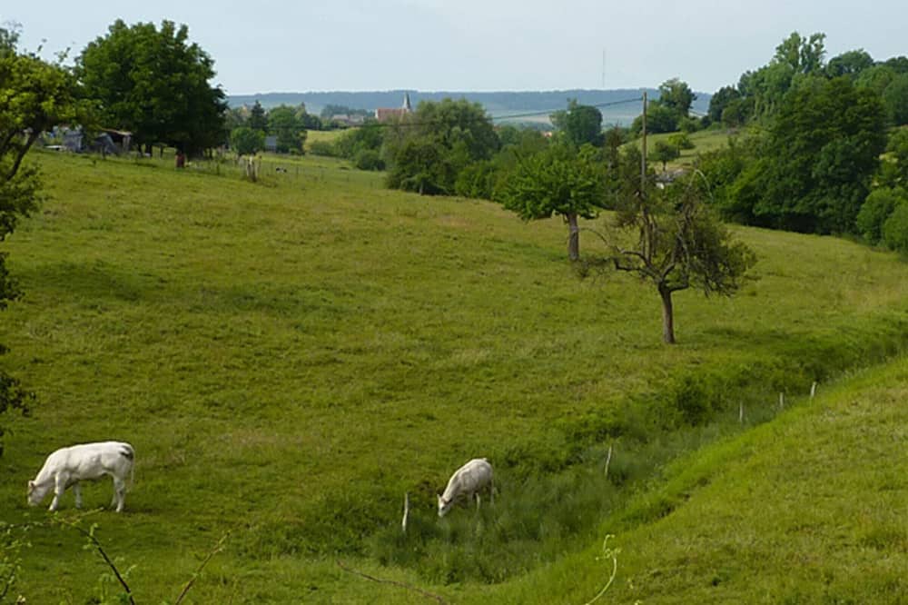 Photo of Outdoor in Bully