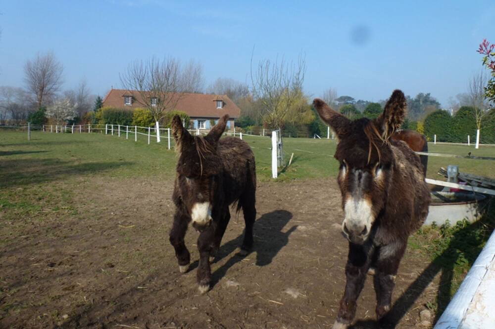 Photo of Others in Paluel