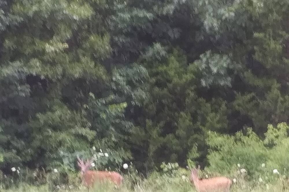 Photo of Outdoor in Warsaw