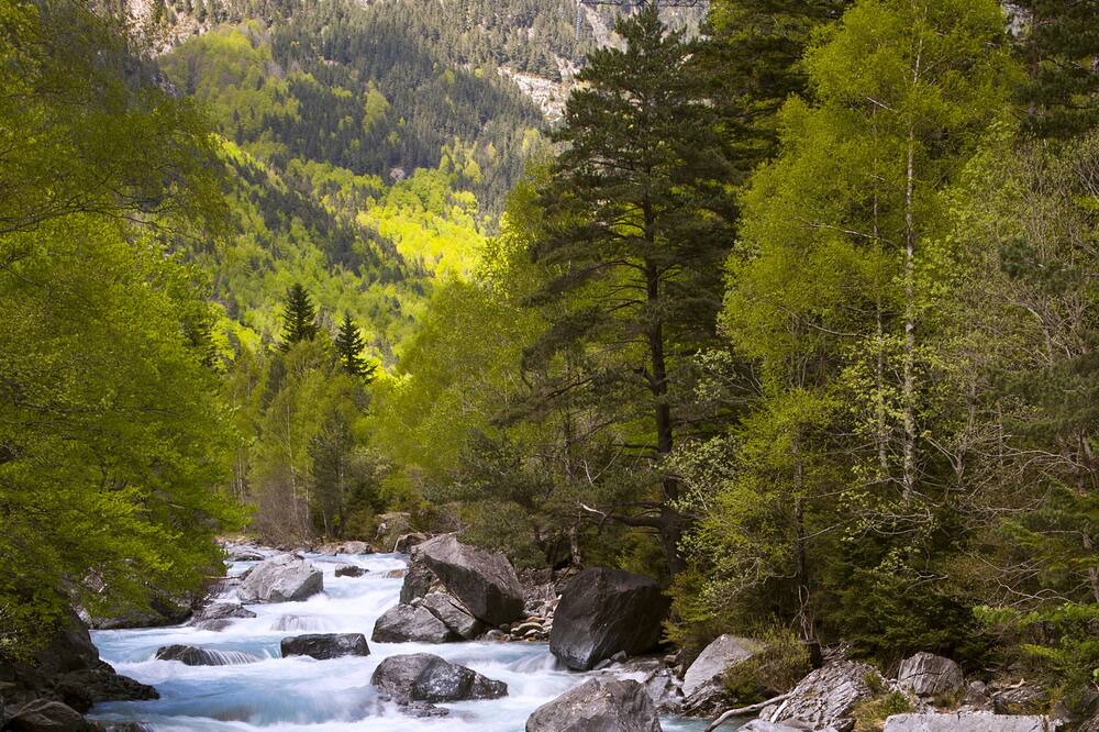 Photo of Others in Torla-Ordesa