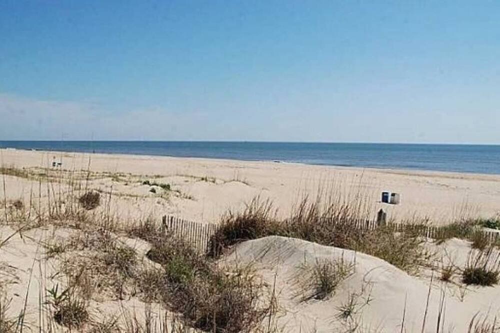 Photo of Others in Northeast Virginia Beach