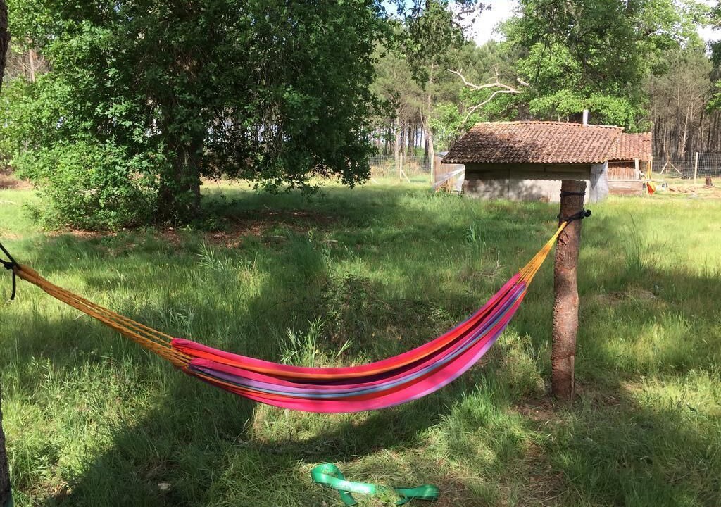Photo of Outdoor in Sinderes