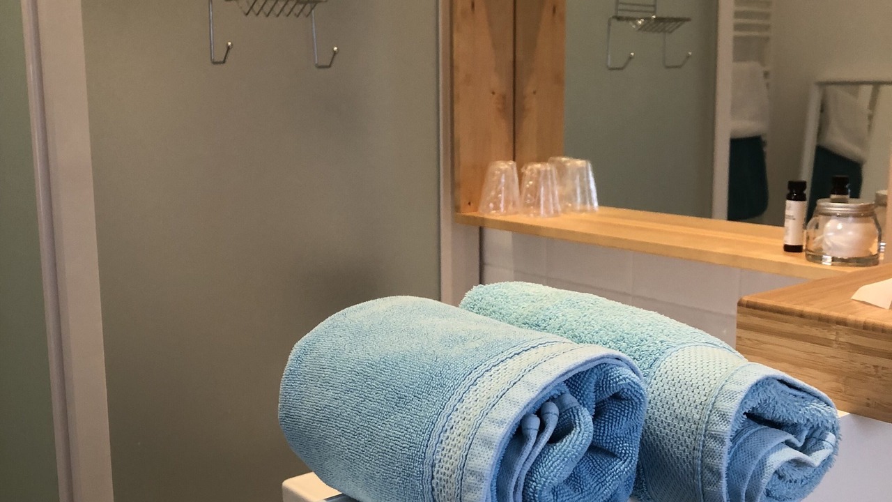 Photo of Bathroom in Bouloc