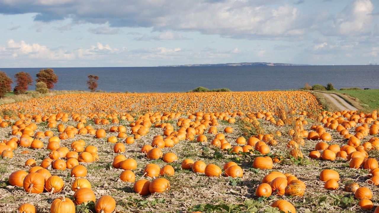 Photo of Others in Onsbjerg