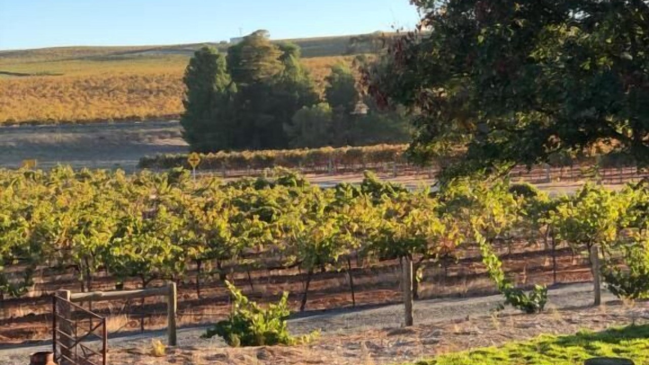 Photo of Others in Upper Wakefield