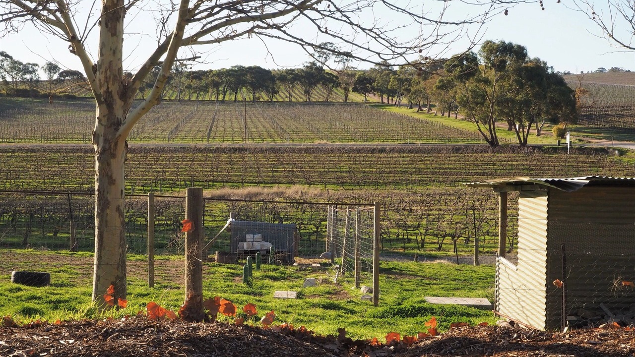 Photo of Others in Upper Wakefield