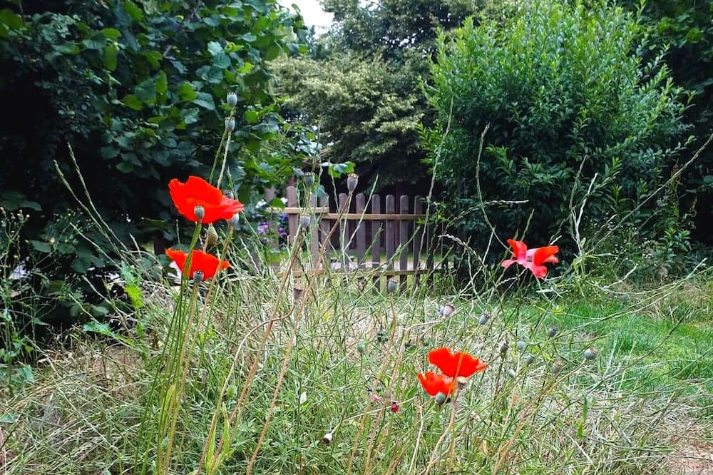 Photo of Outdoor in Meteren