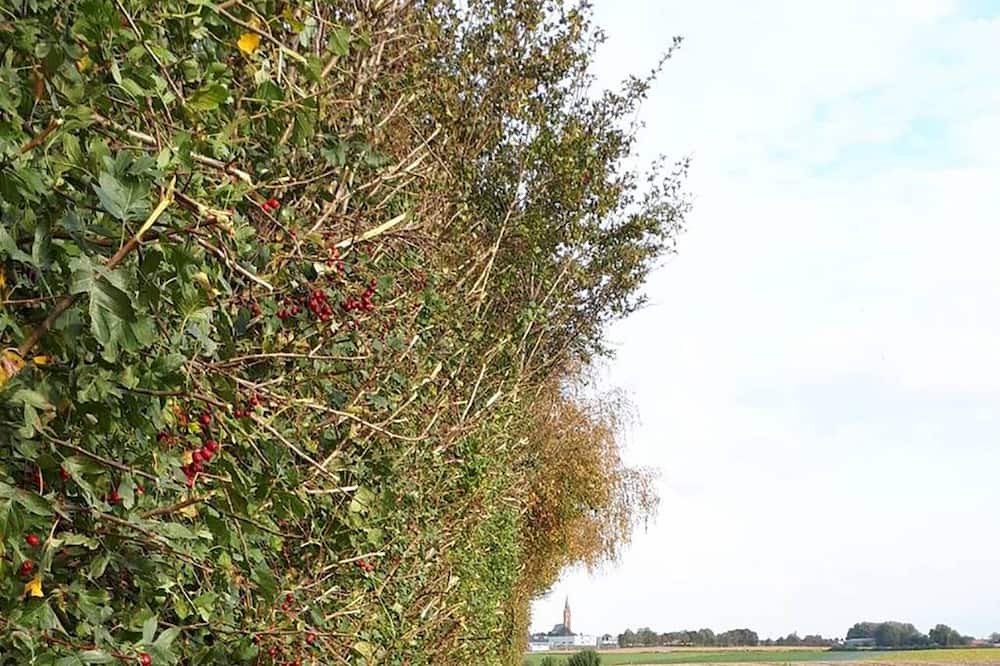 Photo of Outdoor in Meteren