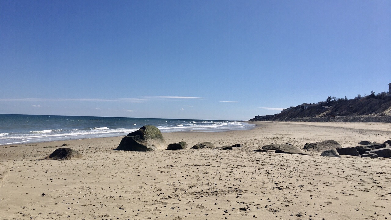Photo of Others in Cedar Bushes