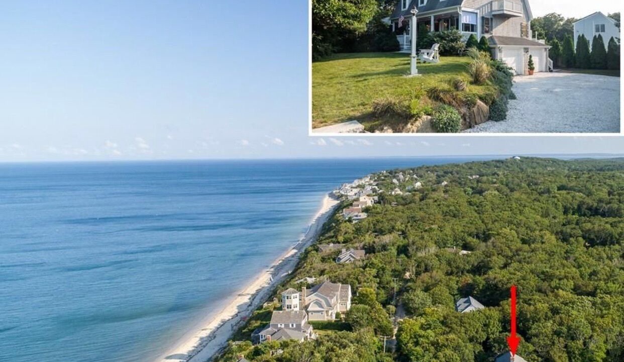 Photo of Others in Cedar Bushes