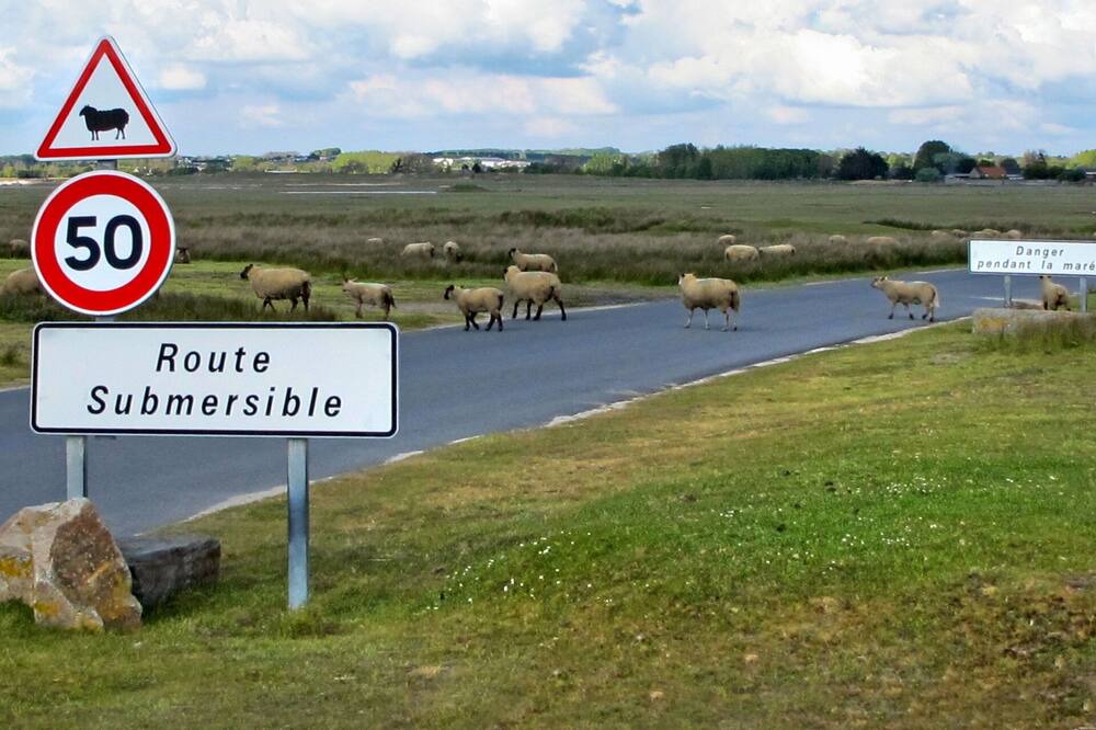 Photo of Others in Coudeville-sur-Mer