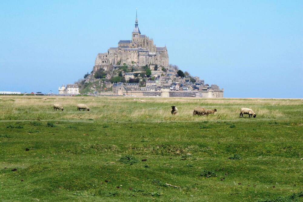 Photo of Others in Sartilly-Baie-Bocage