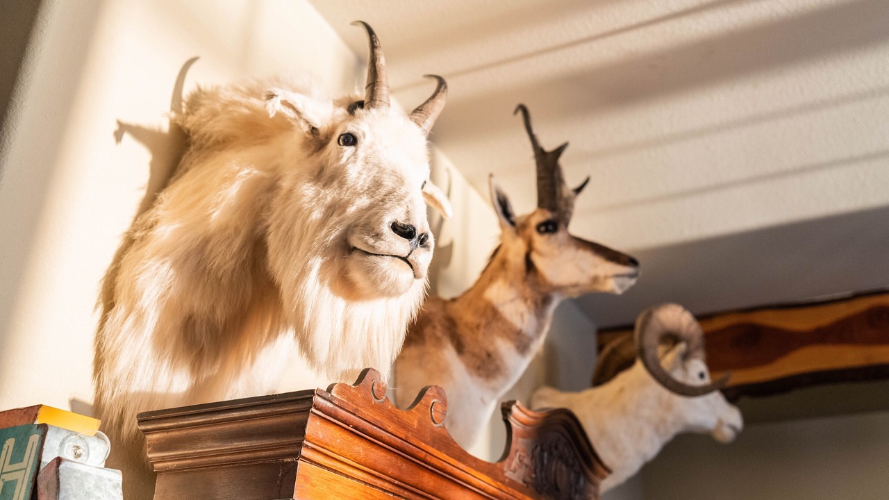 Photo of Others in Bigfork