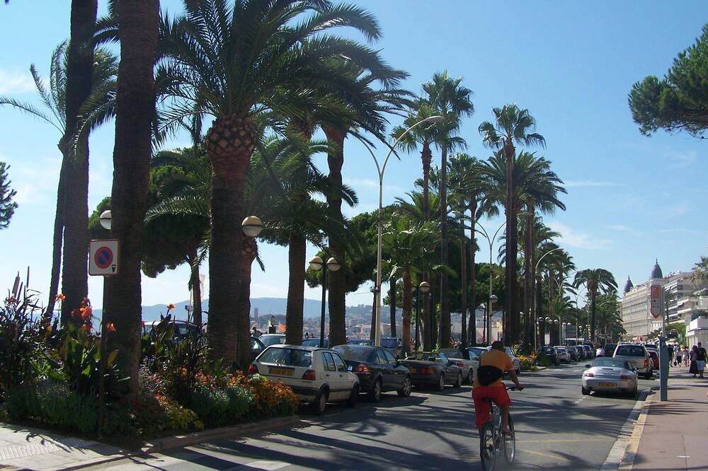 Photo of Others in Le Plan-de-Grasse