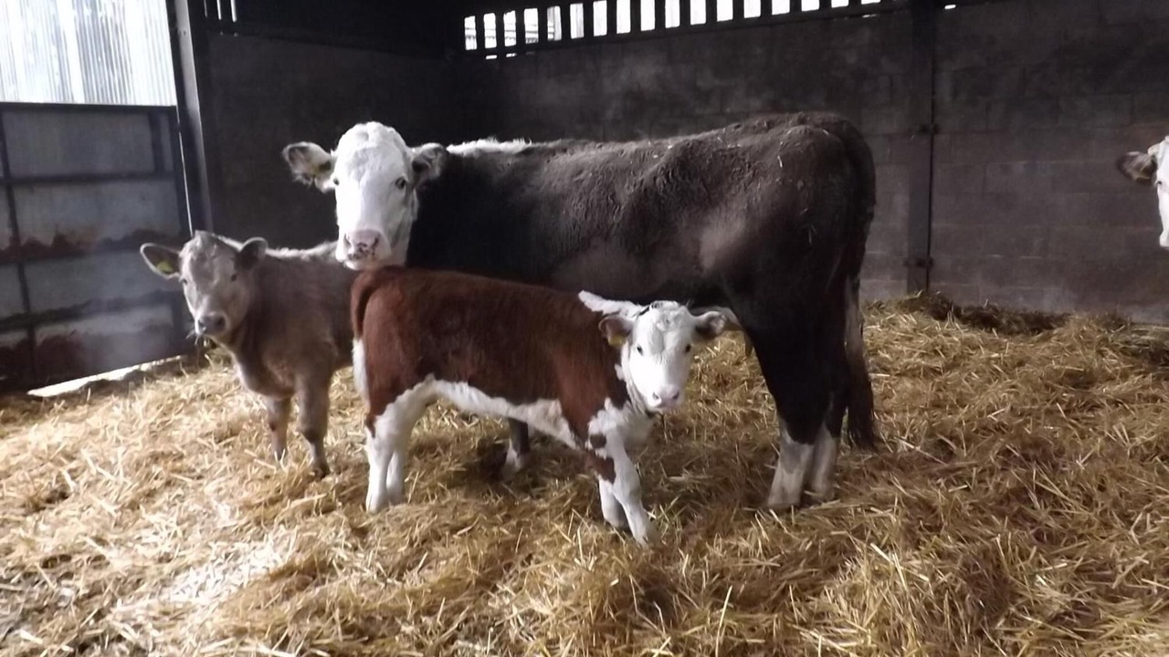 Photo of Outdoor in Twywell