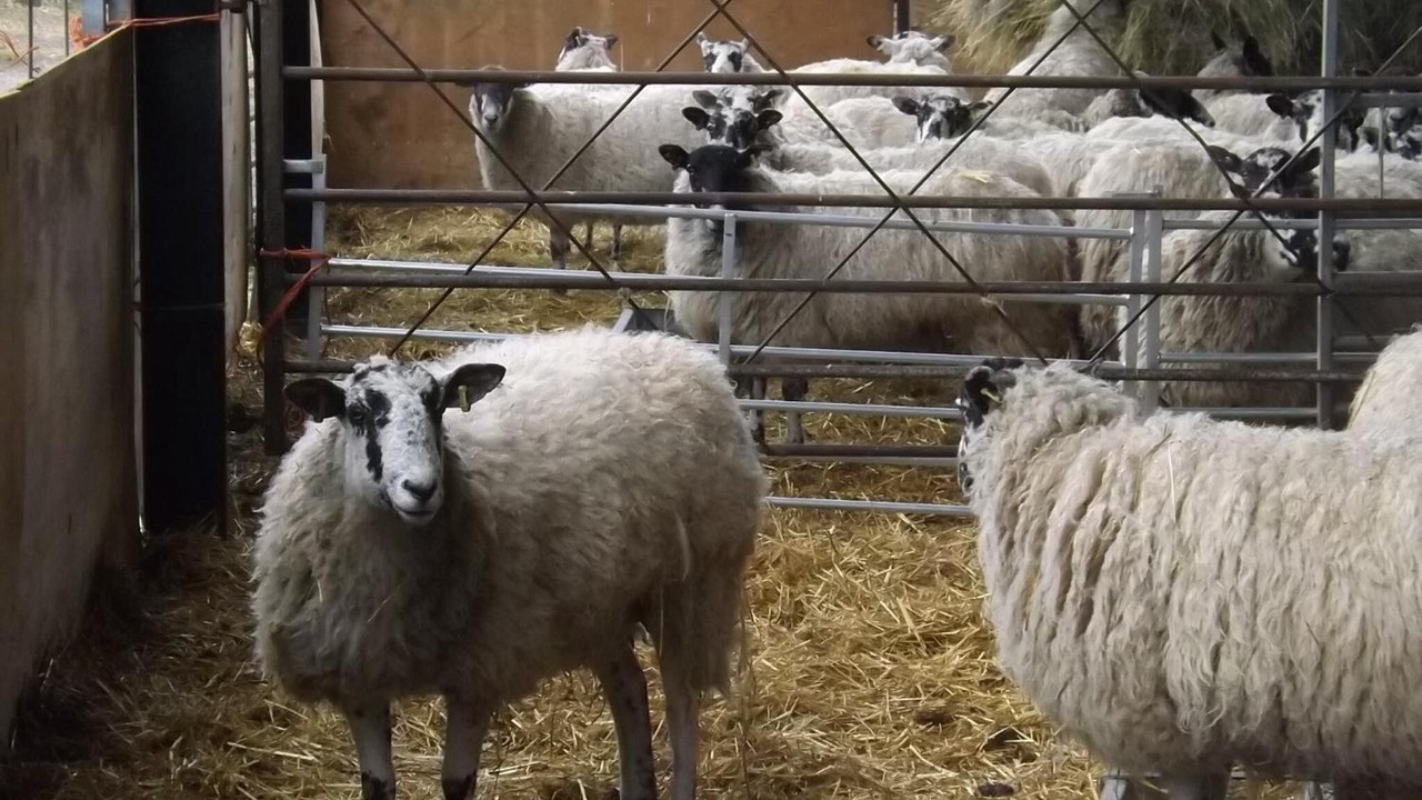 Photo of Others in Twywell