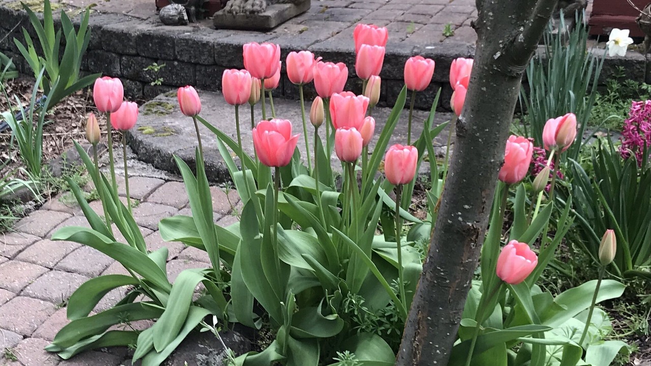 Photo of Outdoor in Ashland